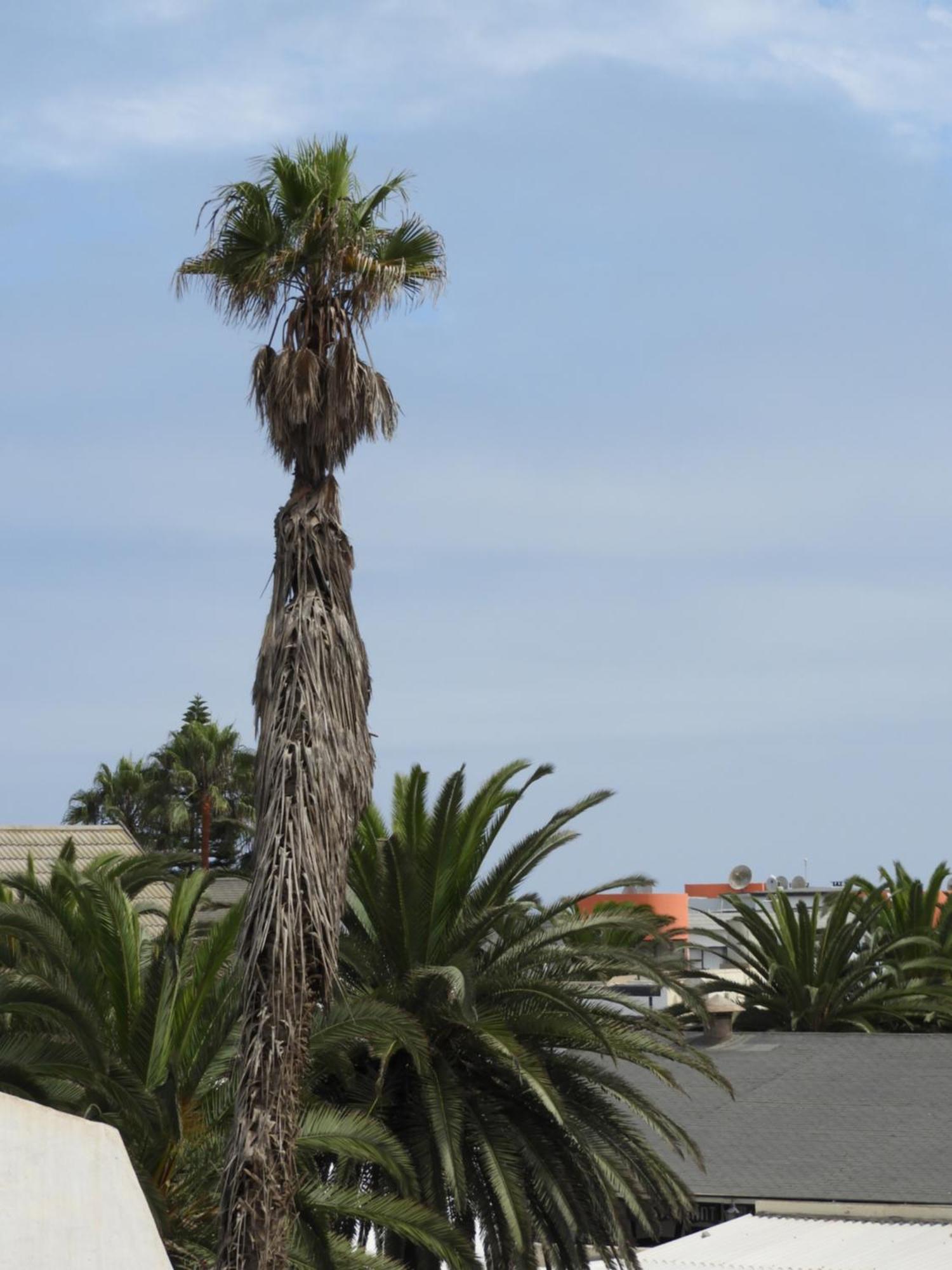 Central Self Catering Swakopmund Kültér fotó